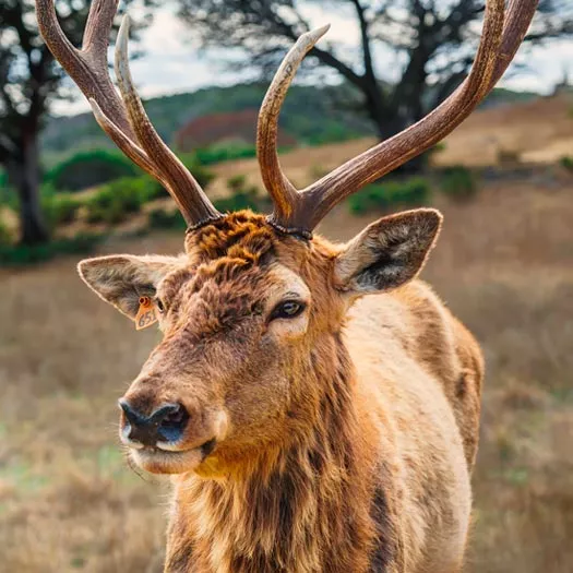 home-travel-agency-destination-img05